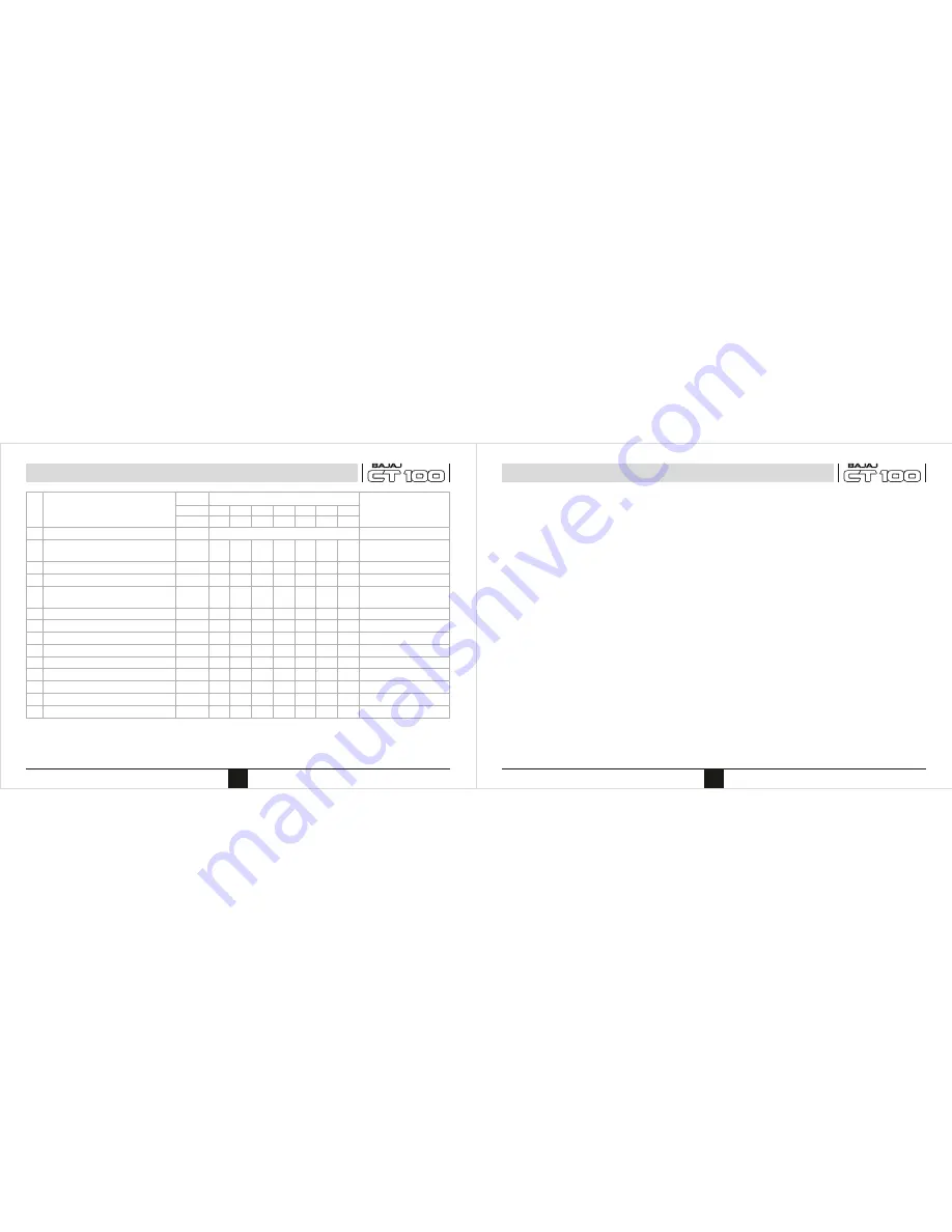 Bajaj CT-100 Скачать руководство пользователя страница 14