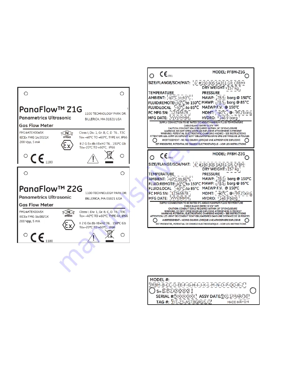 Baker Hughes PanaFlow Z1G User Manual Download Page 12