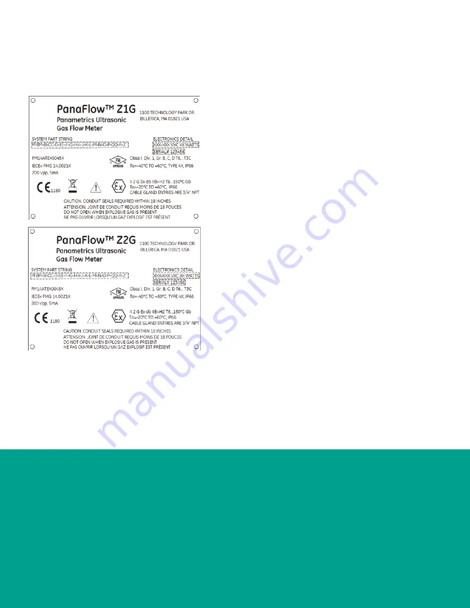 Baker Hughes PanaFlow Z1G User Manual Download Page 13