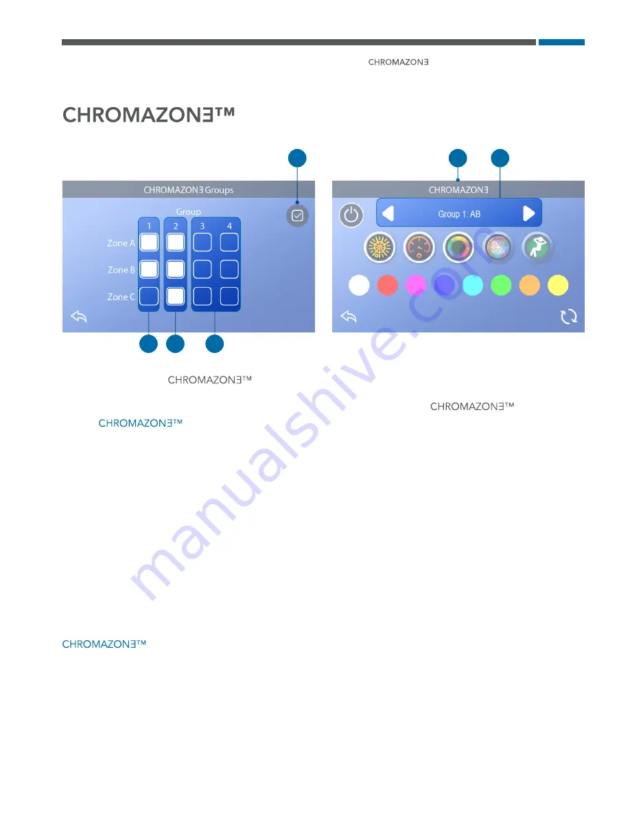 Balboa CHROMAZONE Скачать руководство пользователя страница 14