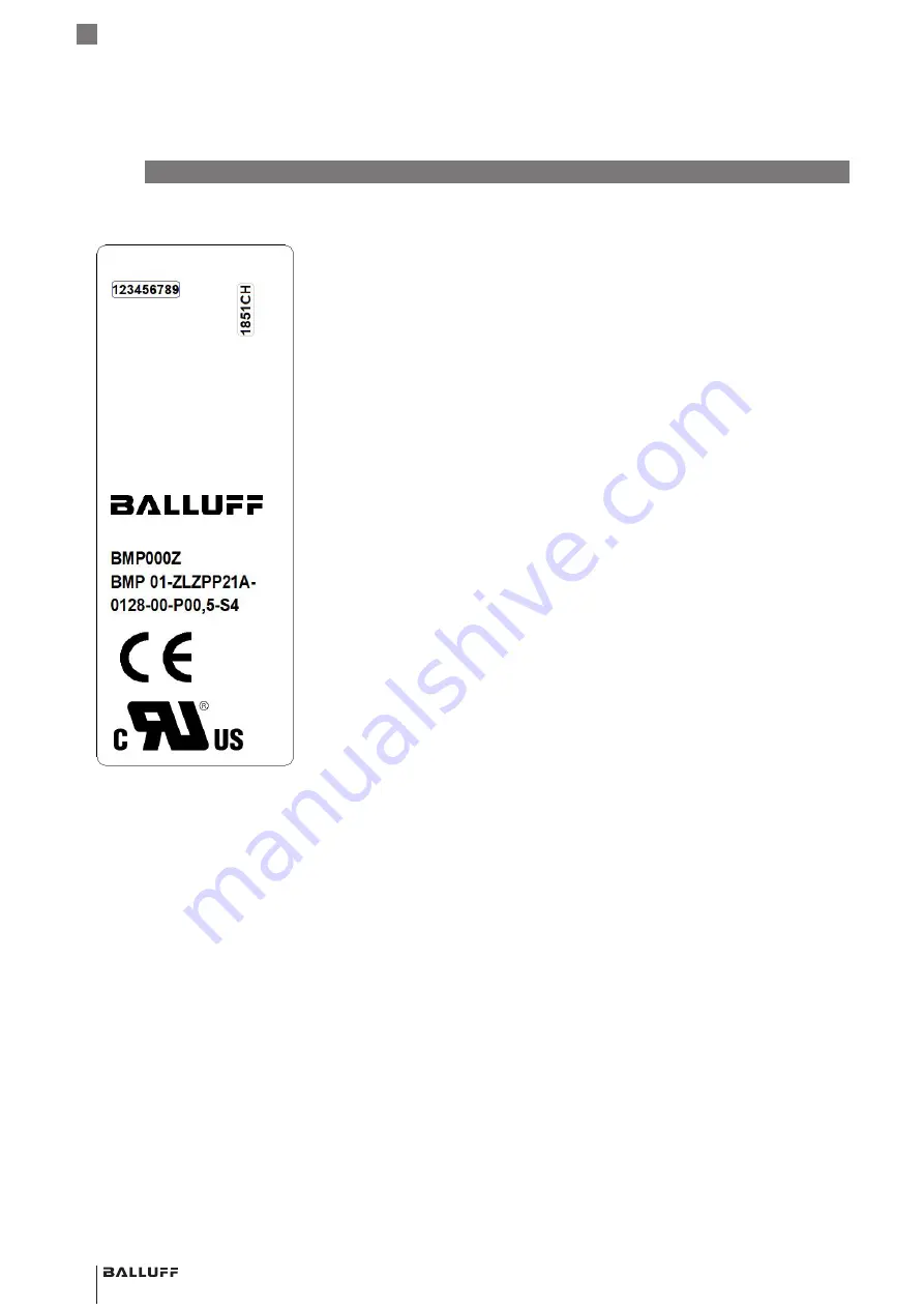 Balluff BMP 01-ZLZPP 1A 00-P S75 Series Скачать руководство пользователя страница 66