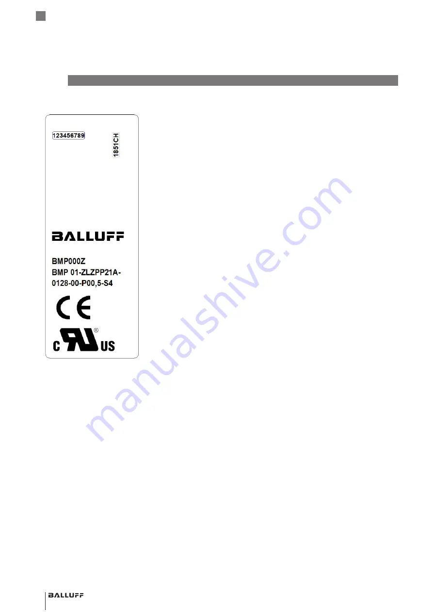 Balluff BMP 01-ZLZPP 1A 00-P S75 Series Скачать руководство пользователя страница 98