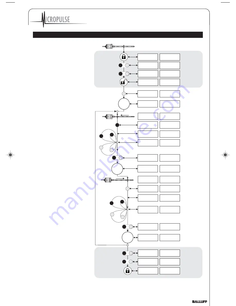 Balluff Micropulse BTL5-A series User Manual Download Page 11