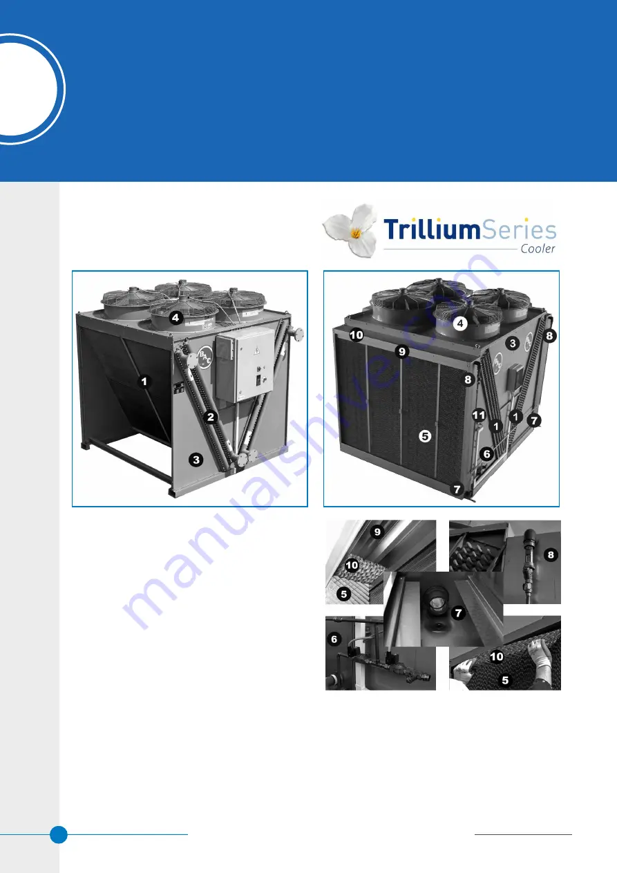 Baltimore Aircoil Company DFCV-AD-EC Series Скачать руководство пользователя страница 4