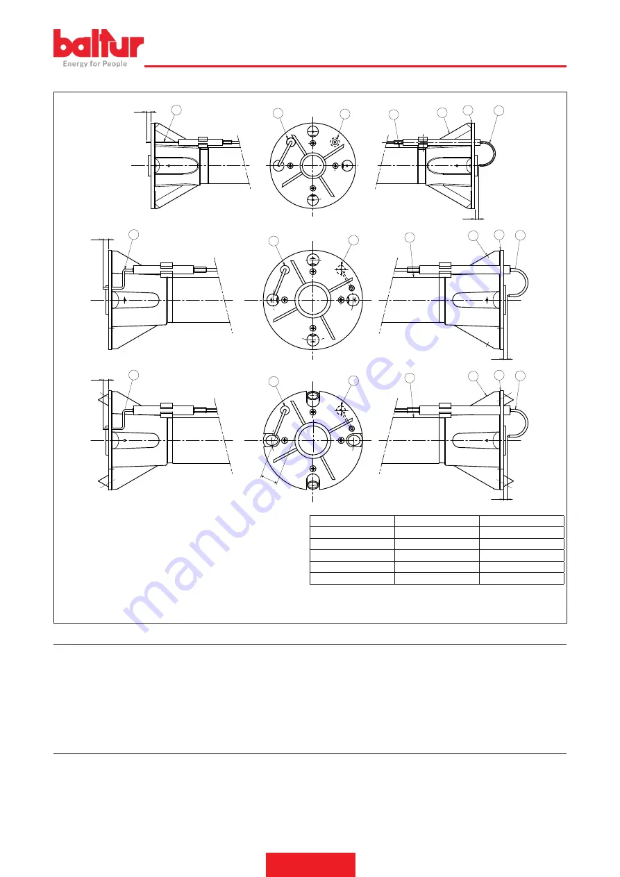 baltur 67230020 Скачать руководство пользователя страница 25