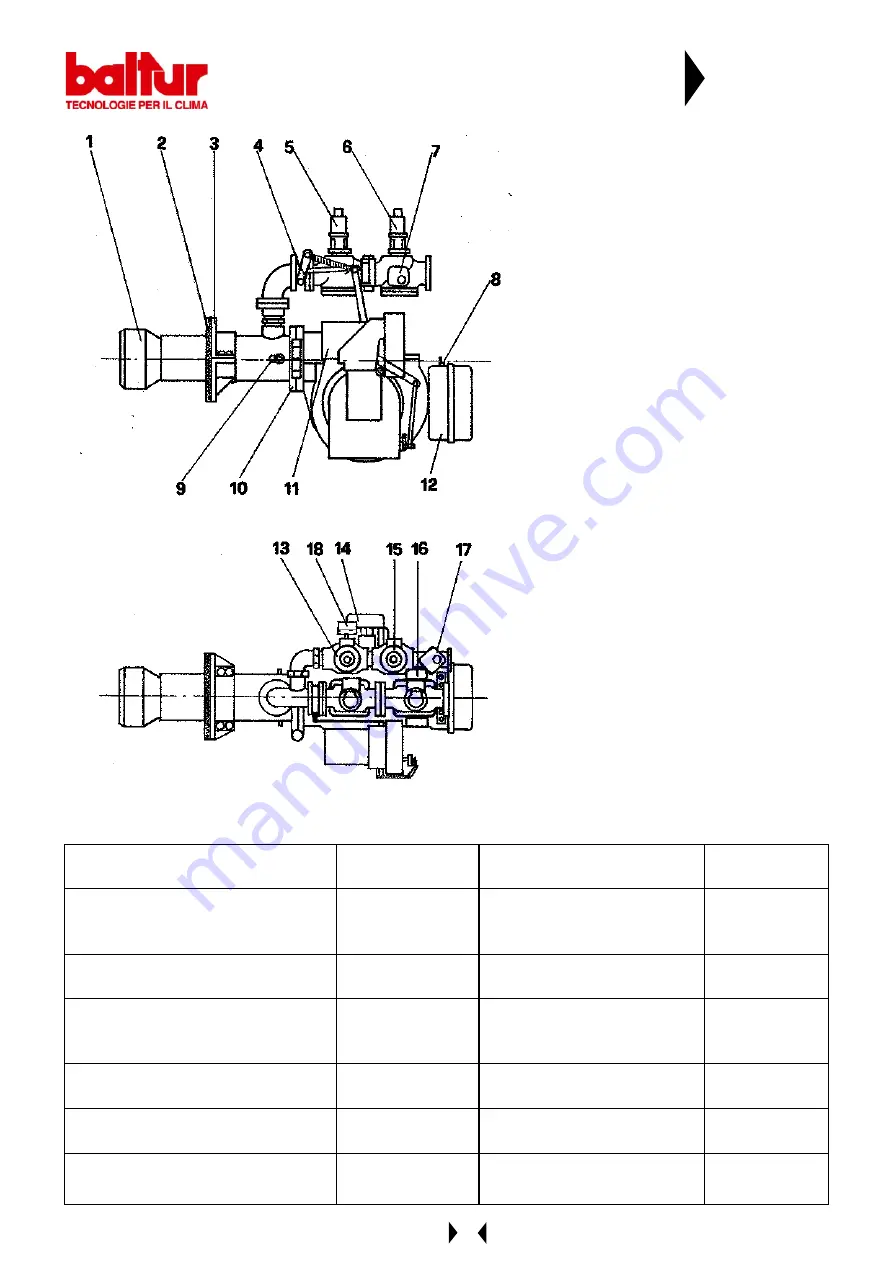 baltur BGN 100 DSPGN Instructions Manual Download Page 4