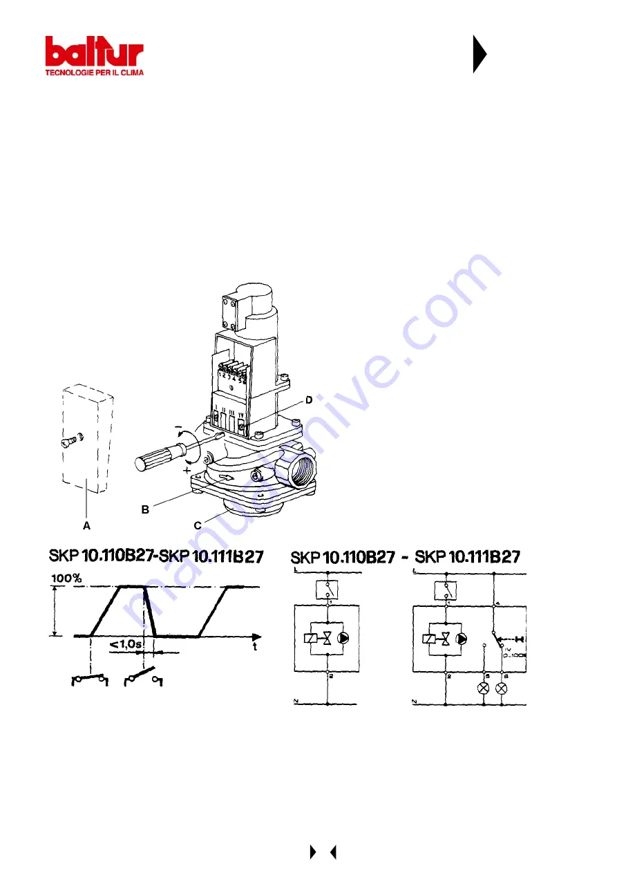 baltur BGN 100 DSPGN Instructions Manual Download Page 24