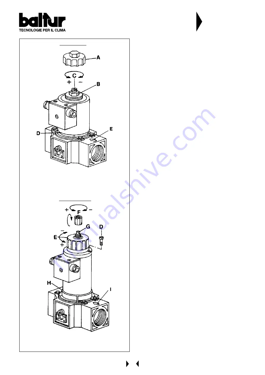 baltur BGN 50 Instructions Manual Download Page 48