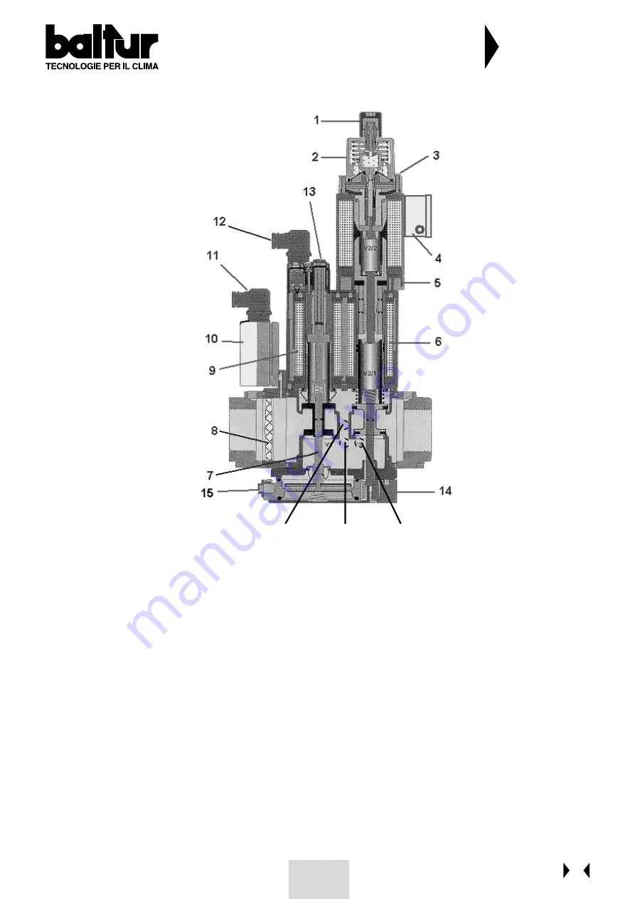 baltur BGN 60 P Скачать руководство пользователя страница 102