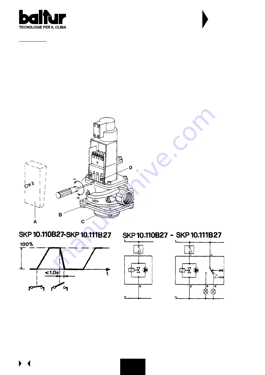 baltur BGN 60 P Скачать руководство пользователя страница 135