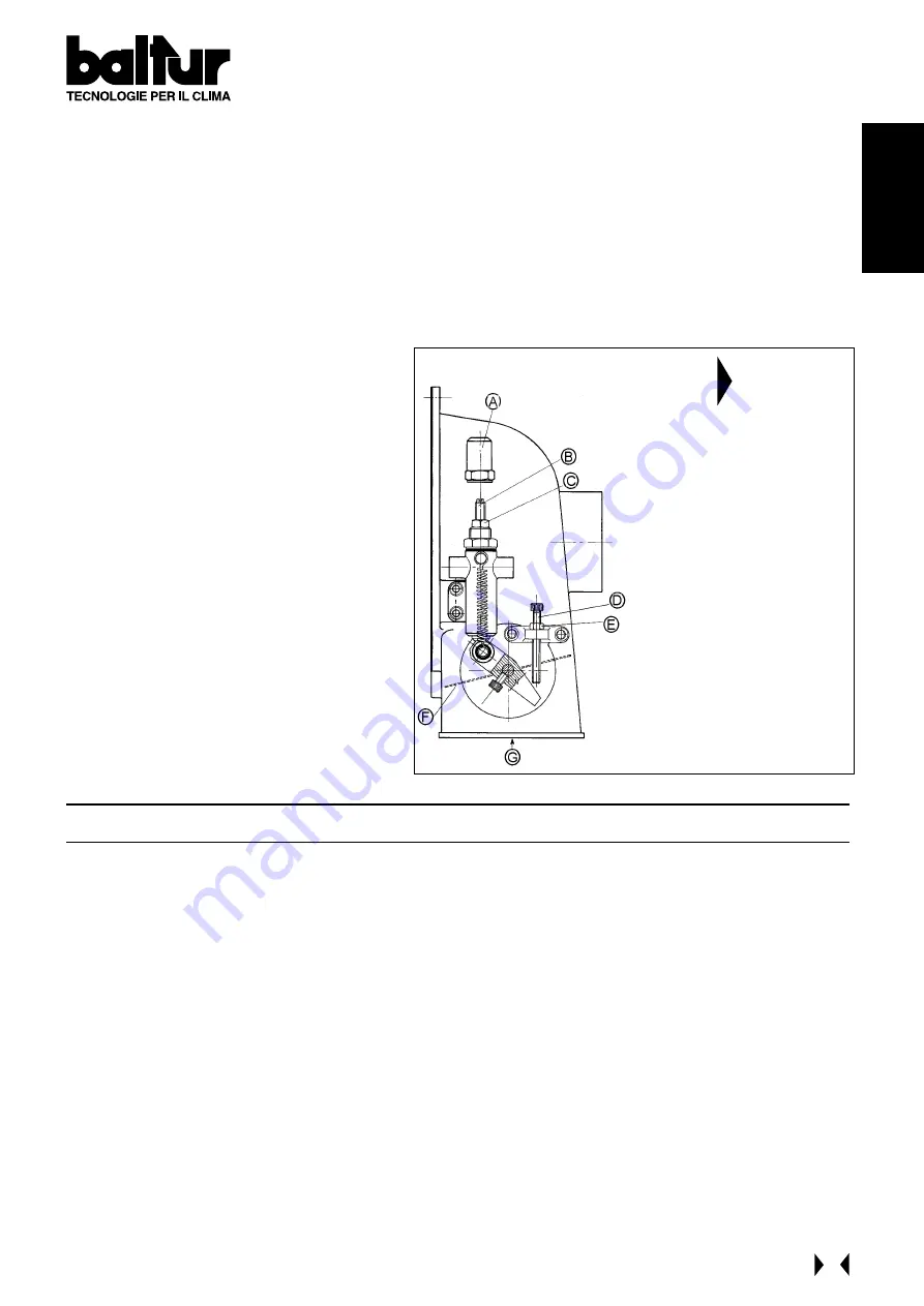 baltur BT 100 DSG Instruction Download Page 54