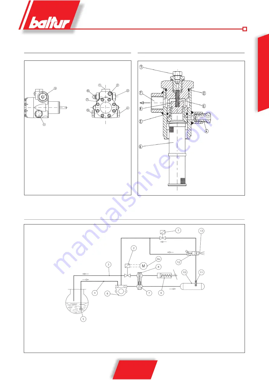 baltur BT 17 SPN Manual Instructions For Use Download Page 17