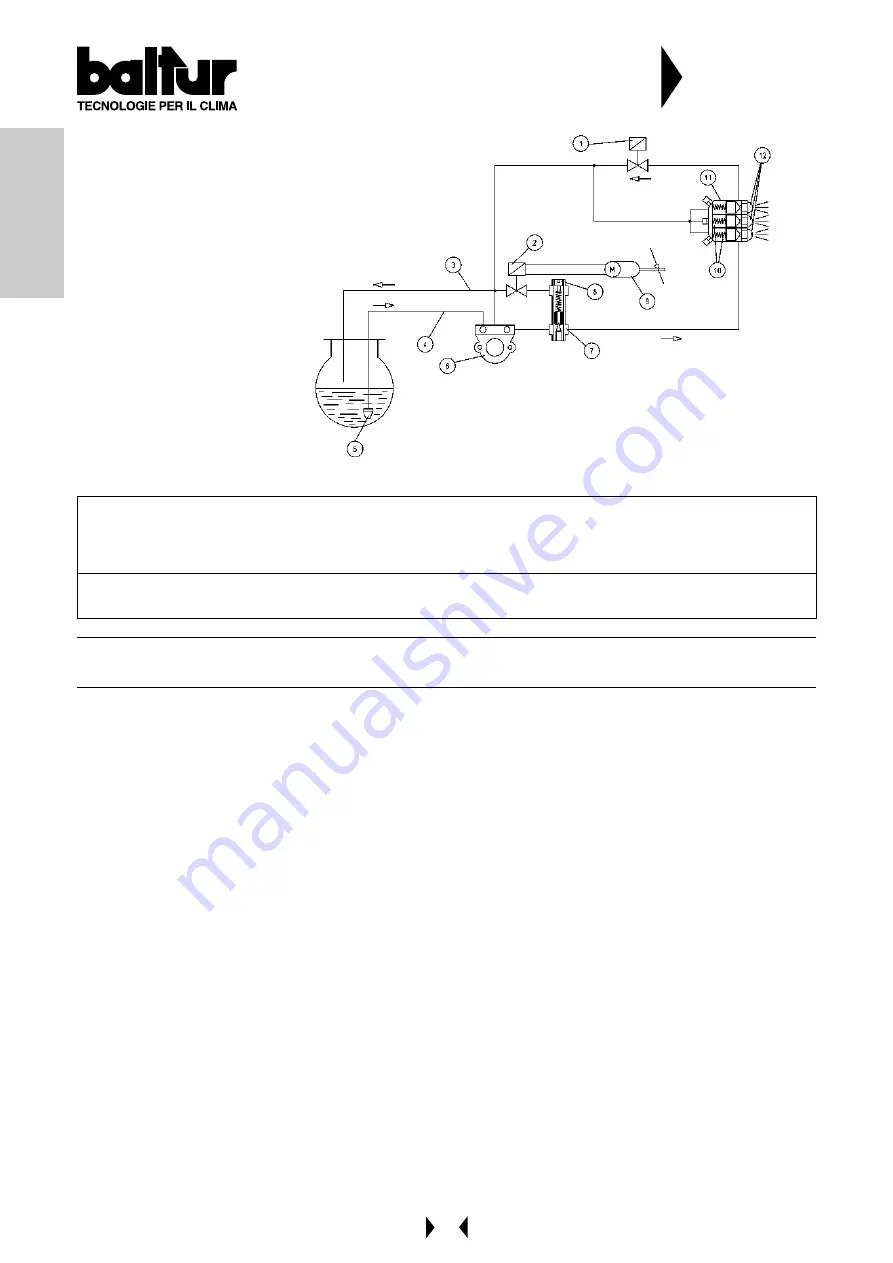 baltur BT 250 DSG K Series Скачать руководство пользователя страница 29