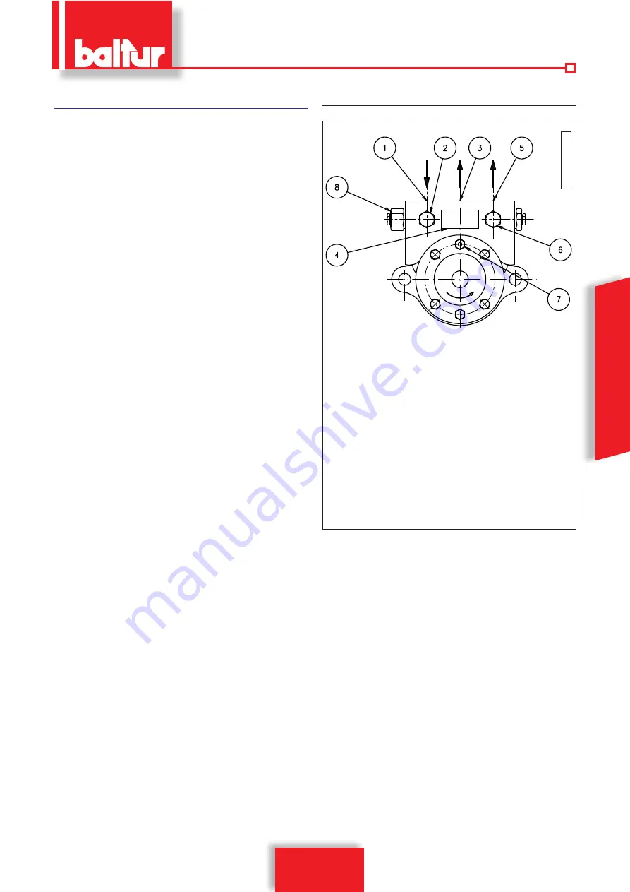 baltur BT 300 DSG 4T Manual User Instructions Download Page 37