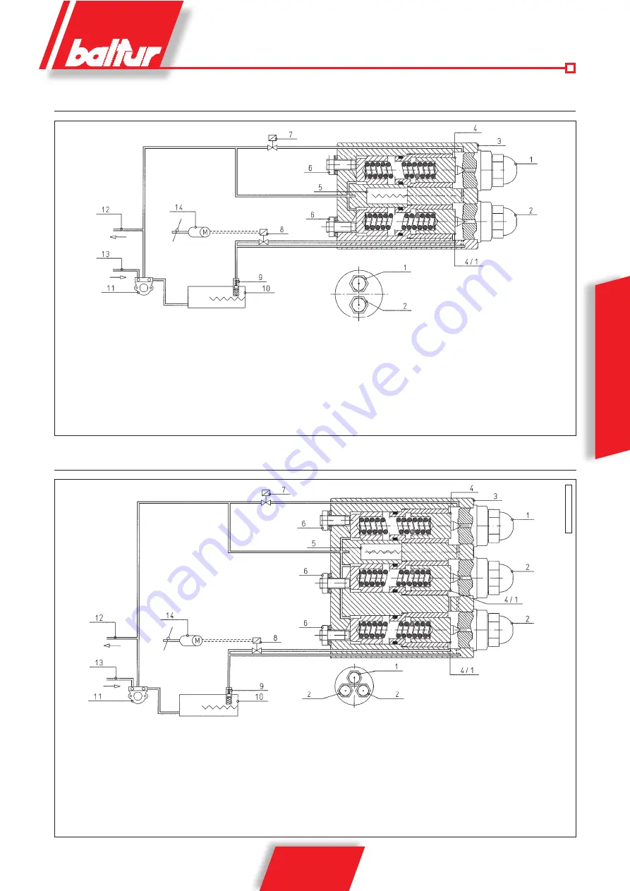 baltur BT 40 DSN 4T Instructions For Use Manual Download Page 23