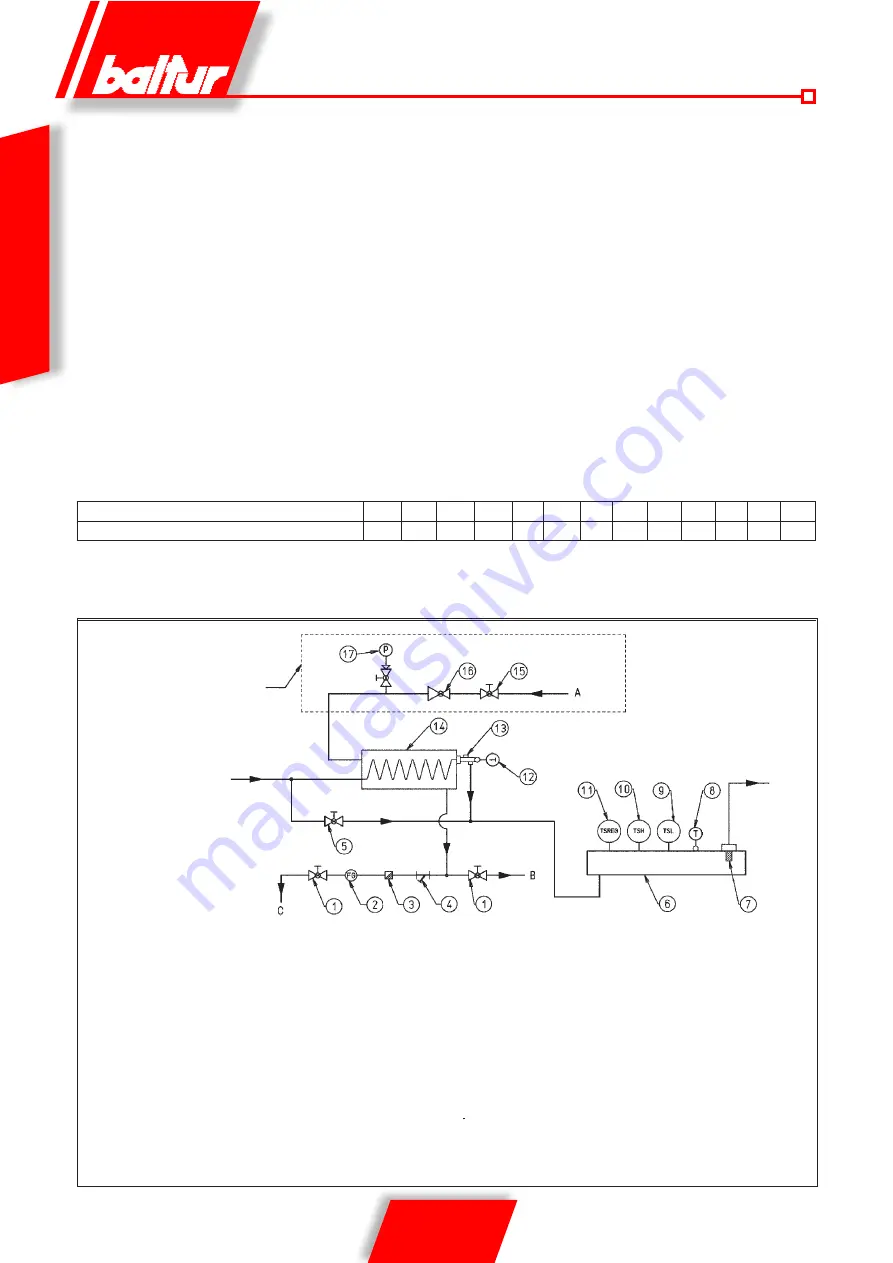 baltur BT 75 DSNM-D Скачать руководство пользователя страница 22