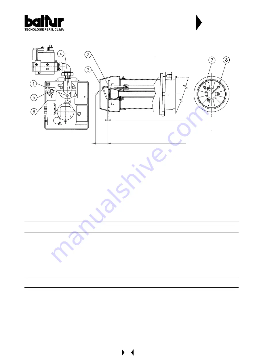 baltur BTG 11 Instructions Manual Download Page 12