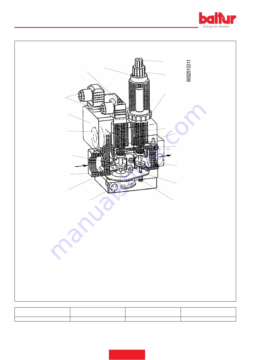 baltur BTG 3,6P Instruction Manual For Installation, Use And Maintenance Download Page 22