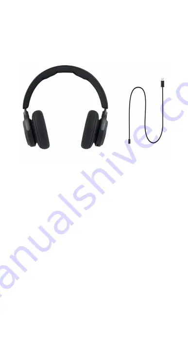 Bang-Olufsen BEOPLAY 500 User Manual Download Page 12