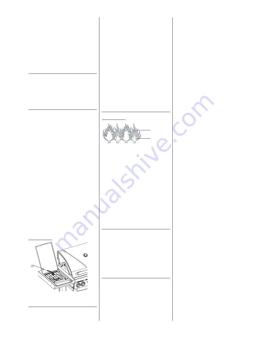 Barbecook CAMILLIA Manual Download Page 39