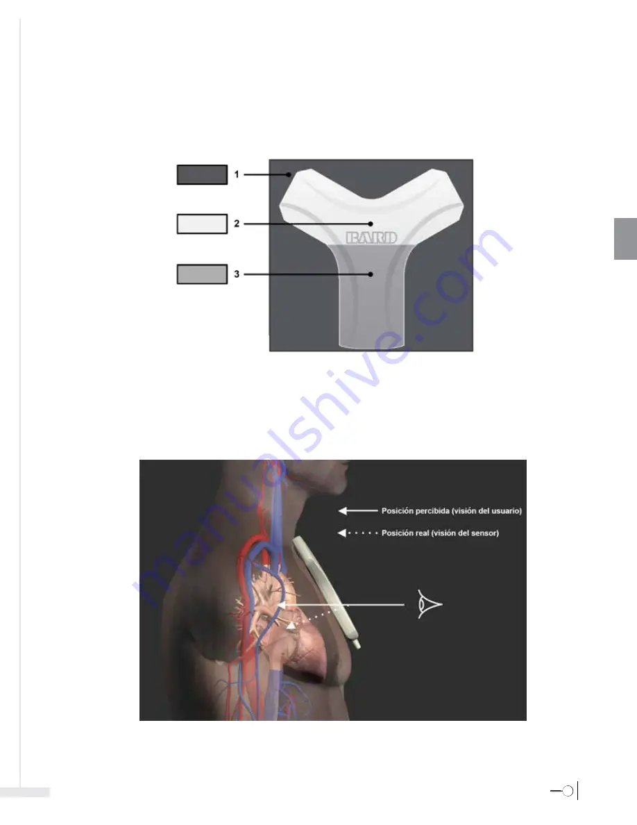 Bard Sherlock 3CG Instructions For Use Manual Download Page 125