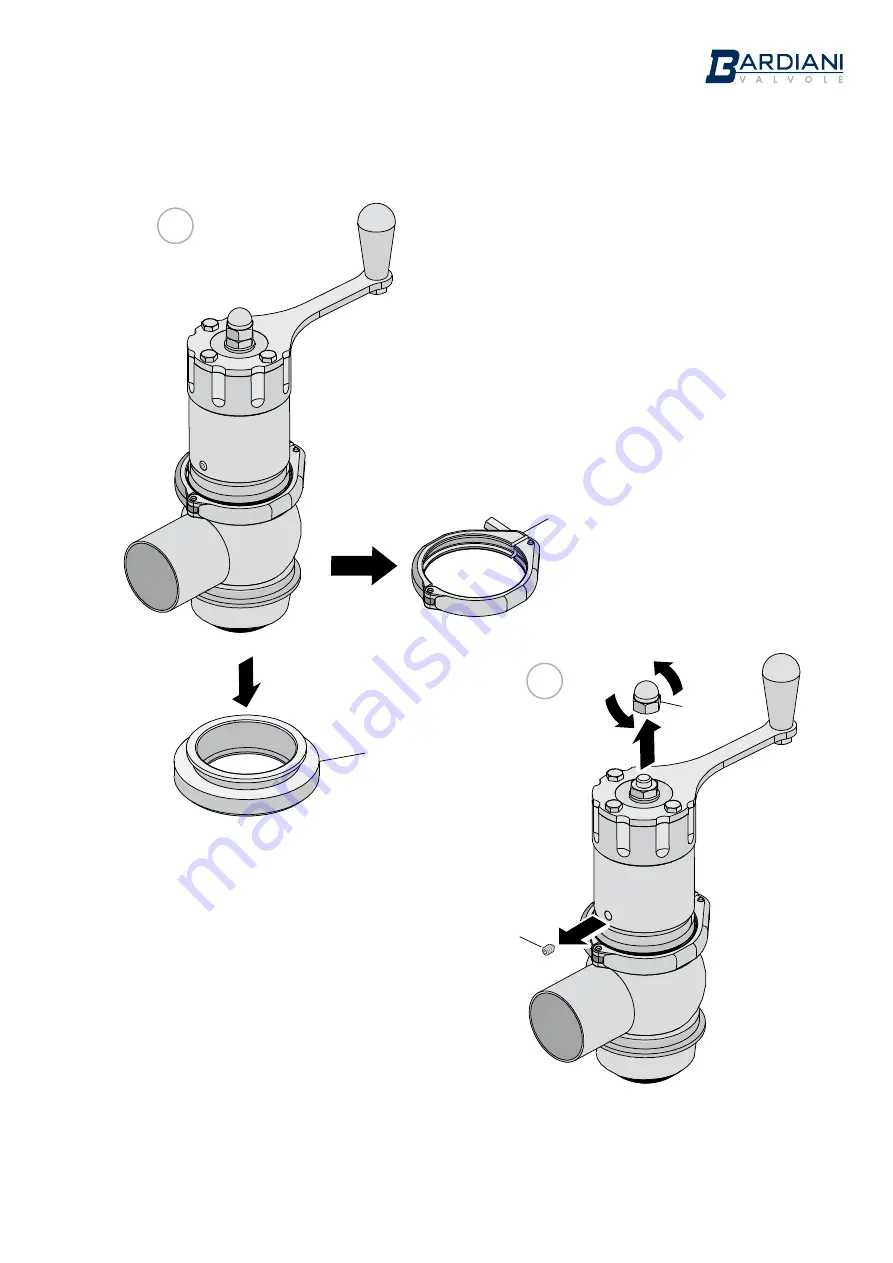 Bardiani Valvole BBWM1 Instruction, Use And Maintenance Manual Download Page 27