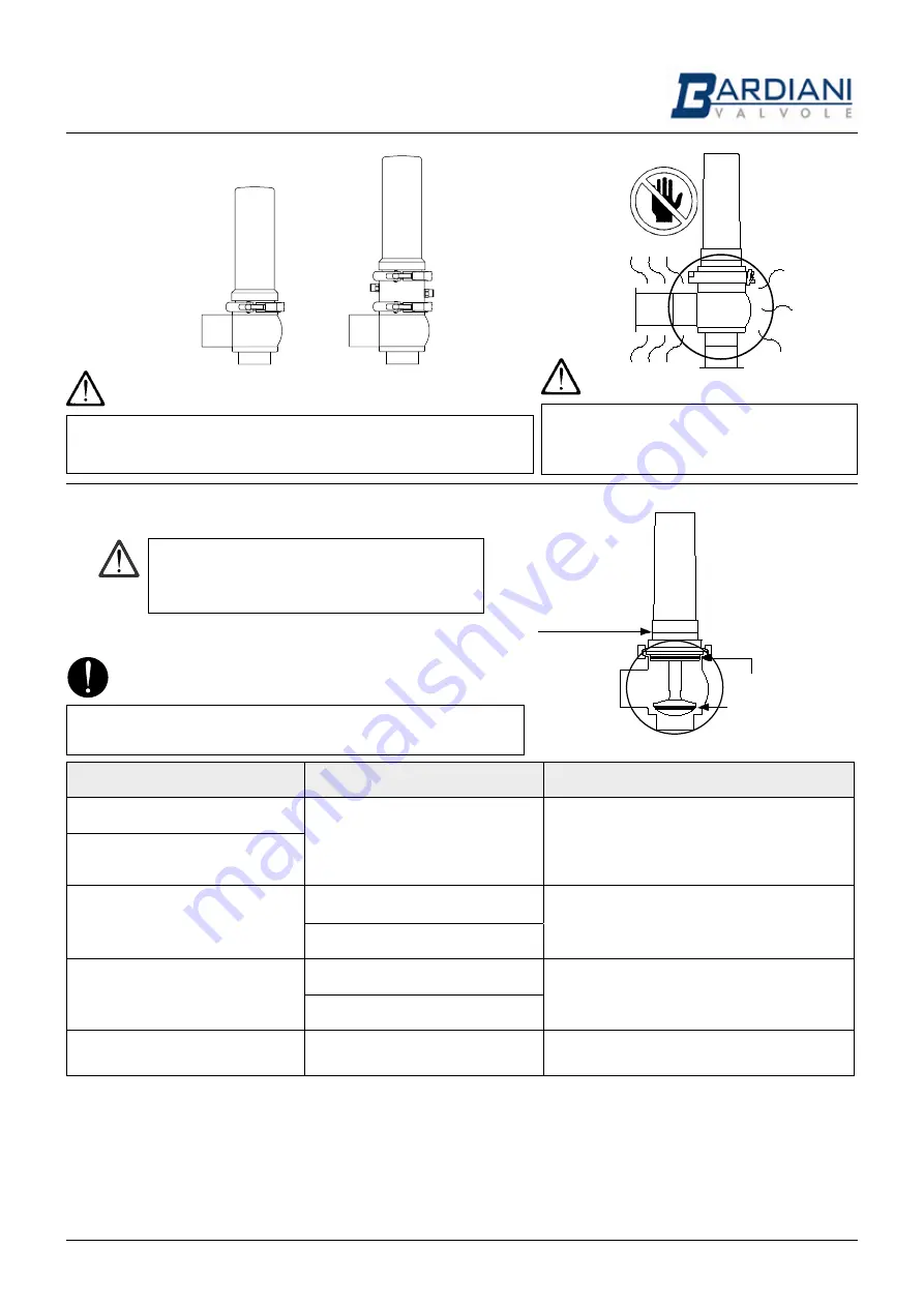 Bardiani Valvole BBZS1 Скачать руководство пользователя страница 6