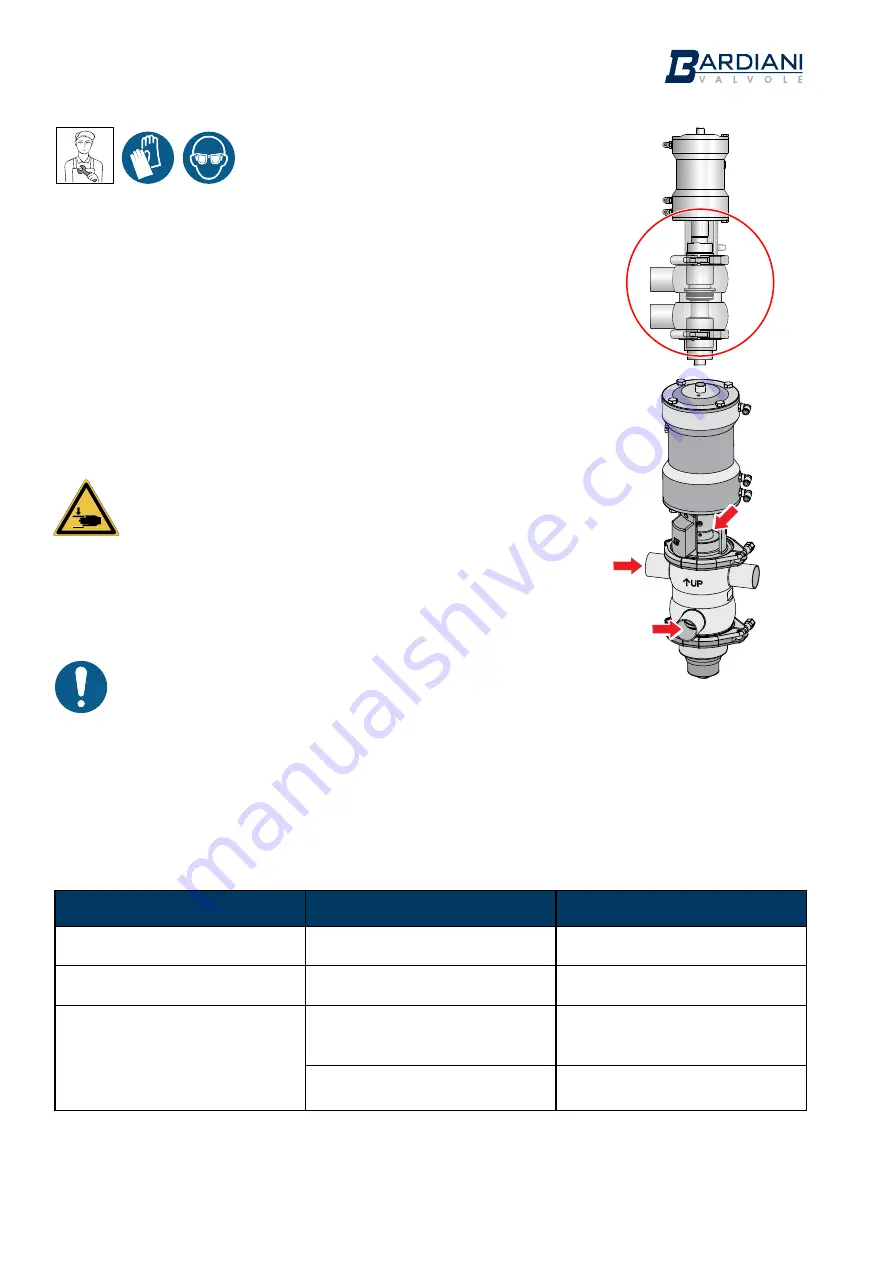 Bardiani Valvole MIXPROOF B915PMO Скачать руководство пользователя страница 22