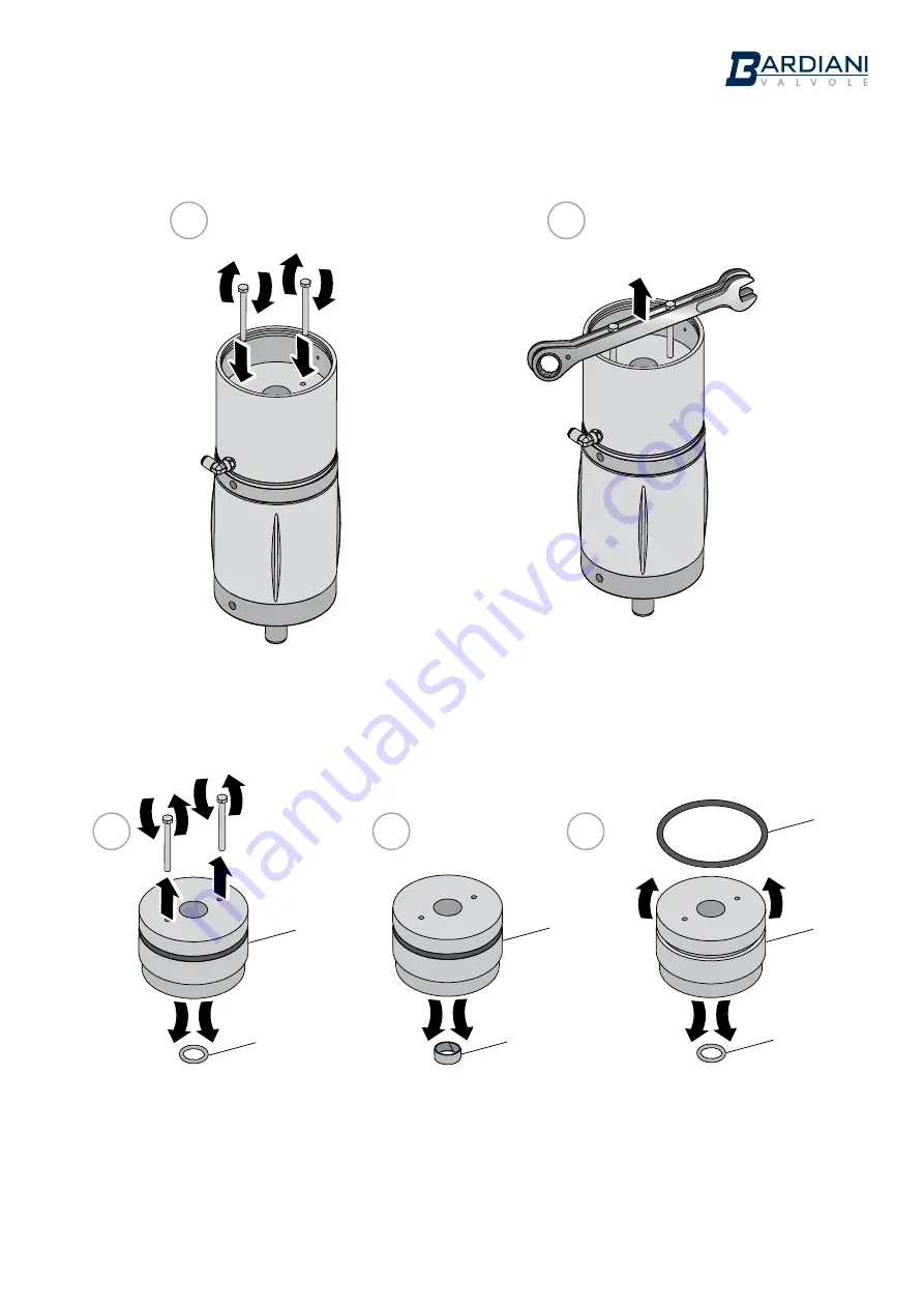 Bardiani BBYP Instruction, Use And Maintenance Manual Download Page 85