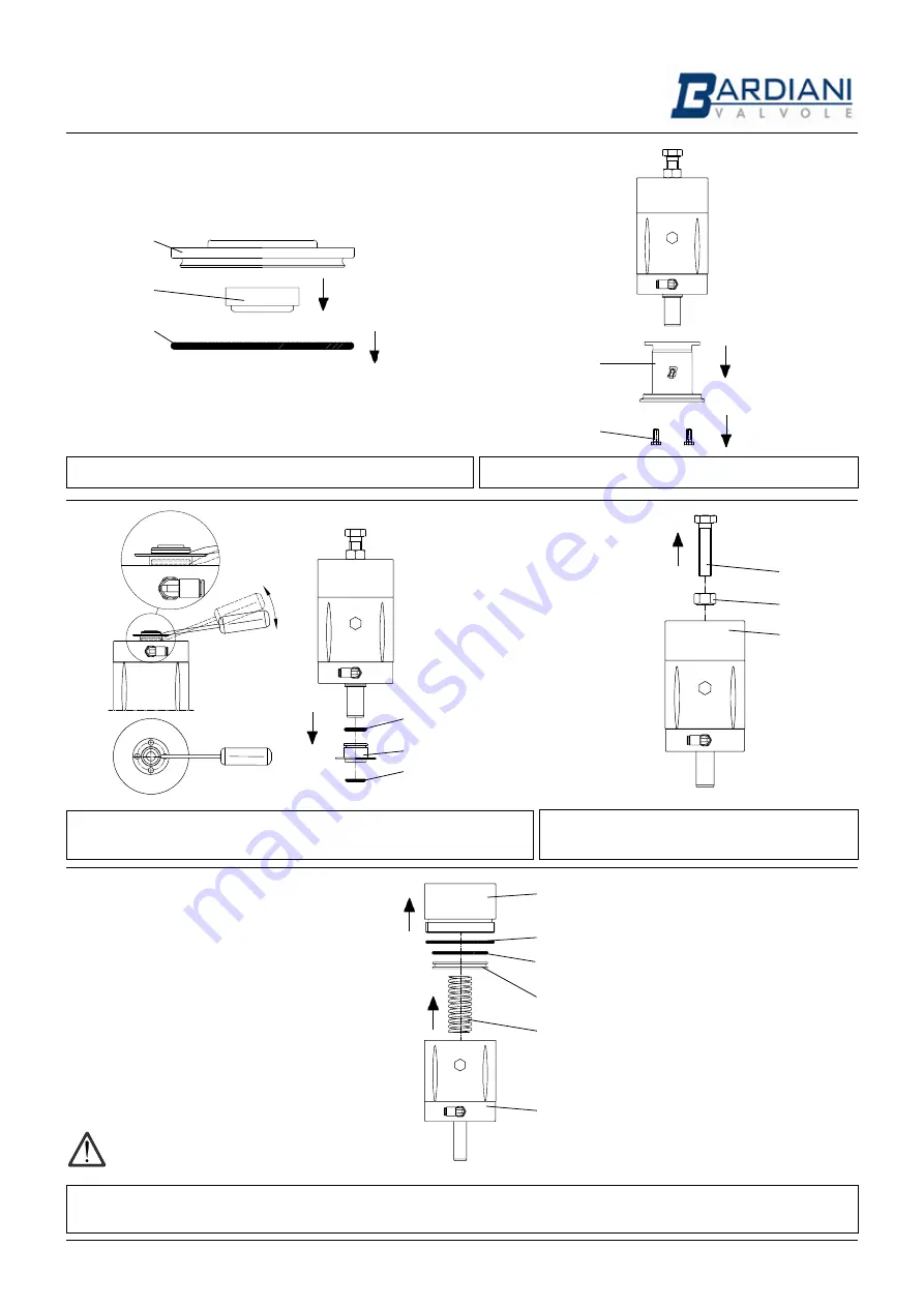 Bardiani BBYS5 Operating And Maintenance Instructions Manual Download Page 11