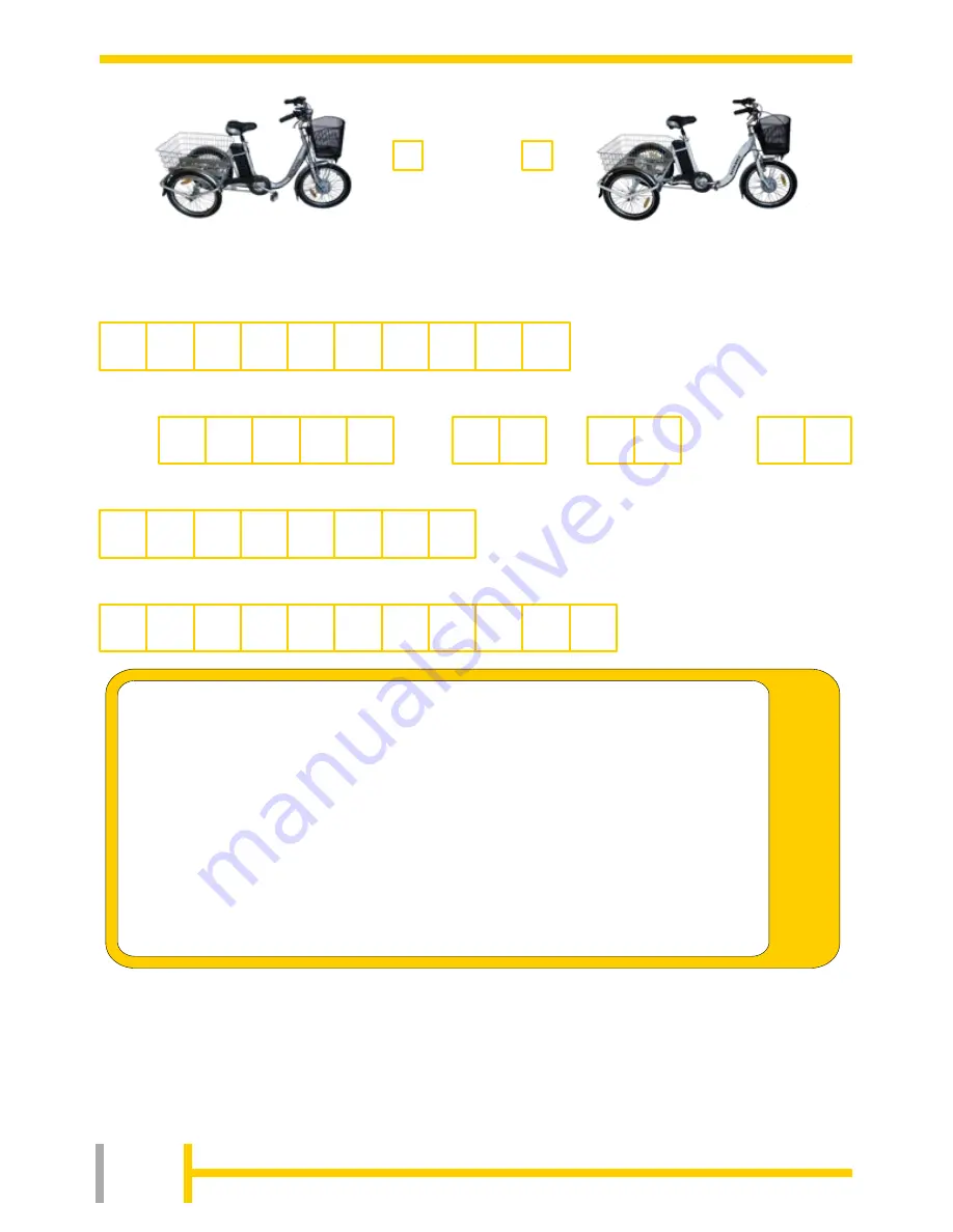 Batribike TRIKE 20 Owner'S Manual Download Page 2