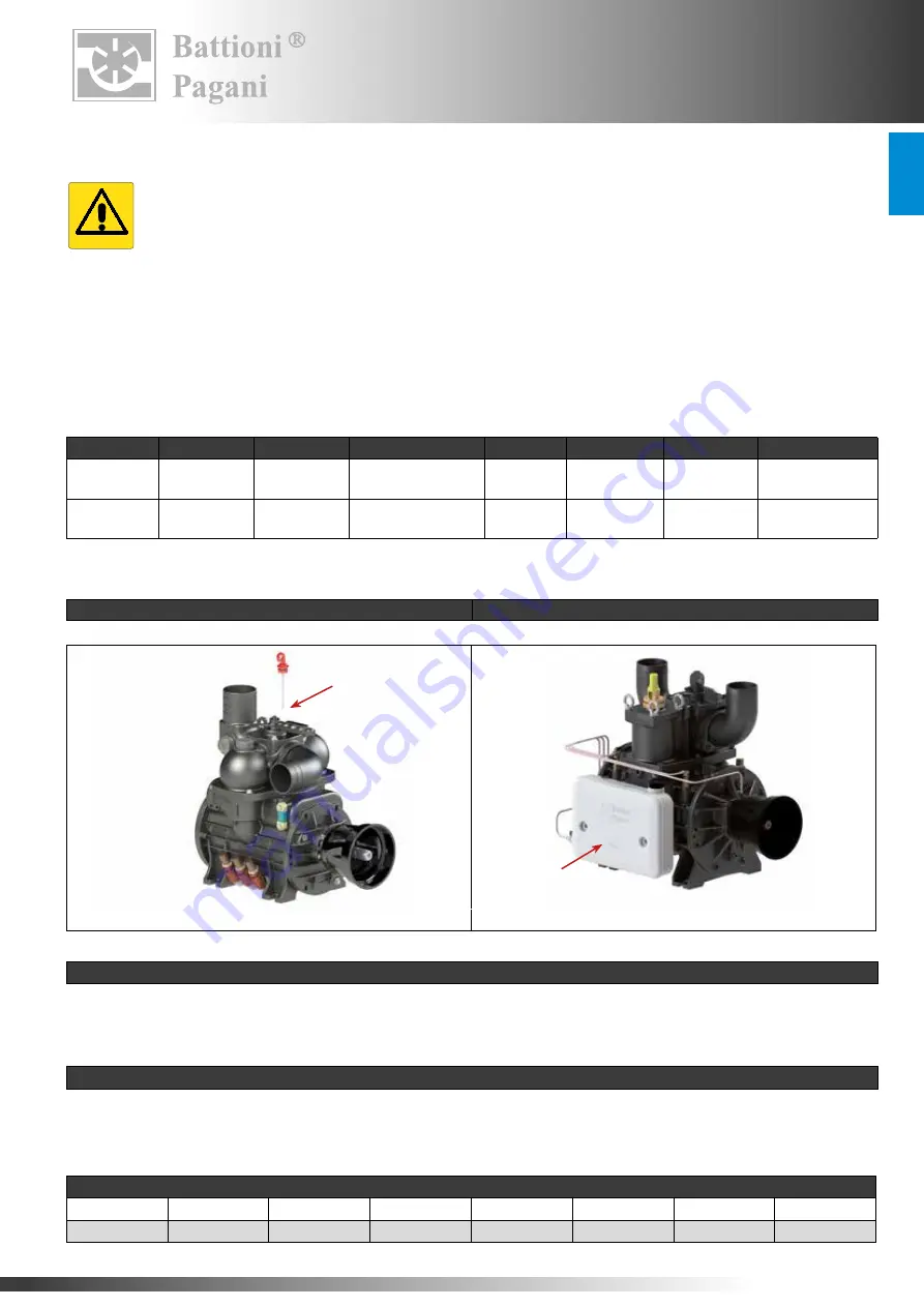 battioni Pagani BALLAST 11000 Instruction Manual For Use And Maintenance Download Page 37