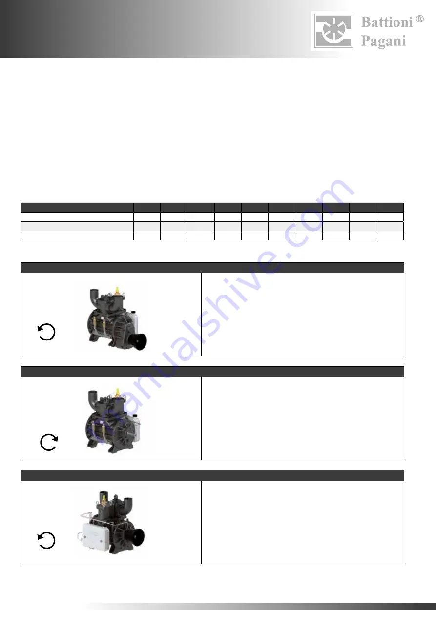 battioni Pagani BALLAST 11000 Instruction Manual For Use And Maintenance Download Page 80