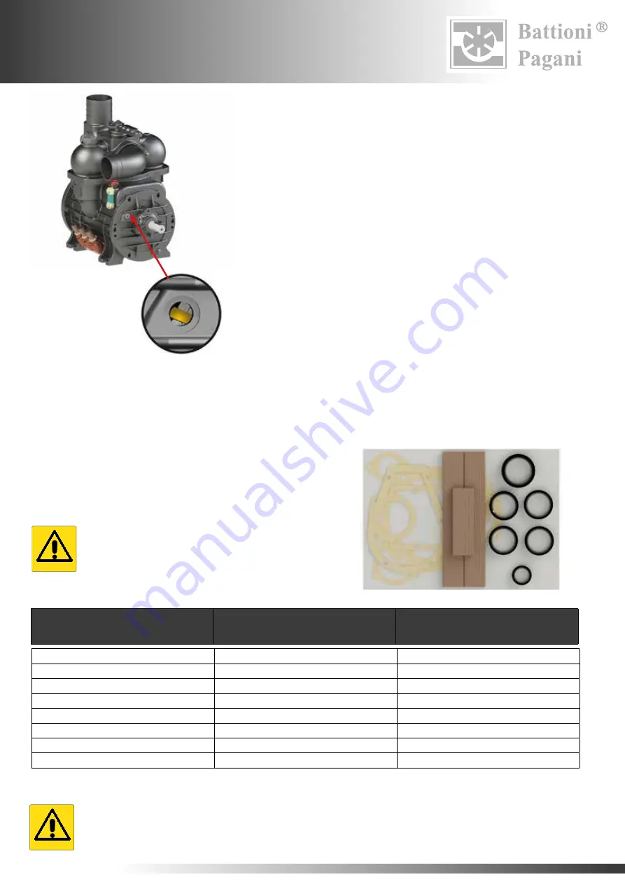 battioni Pagani BALLAST 11000 Скачать руководство пользователя страница 102