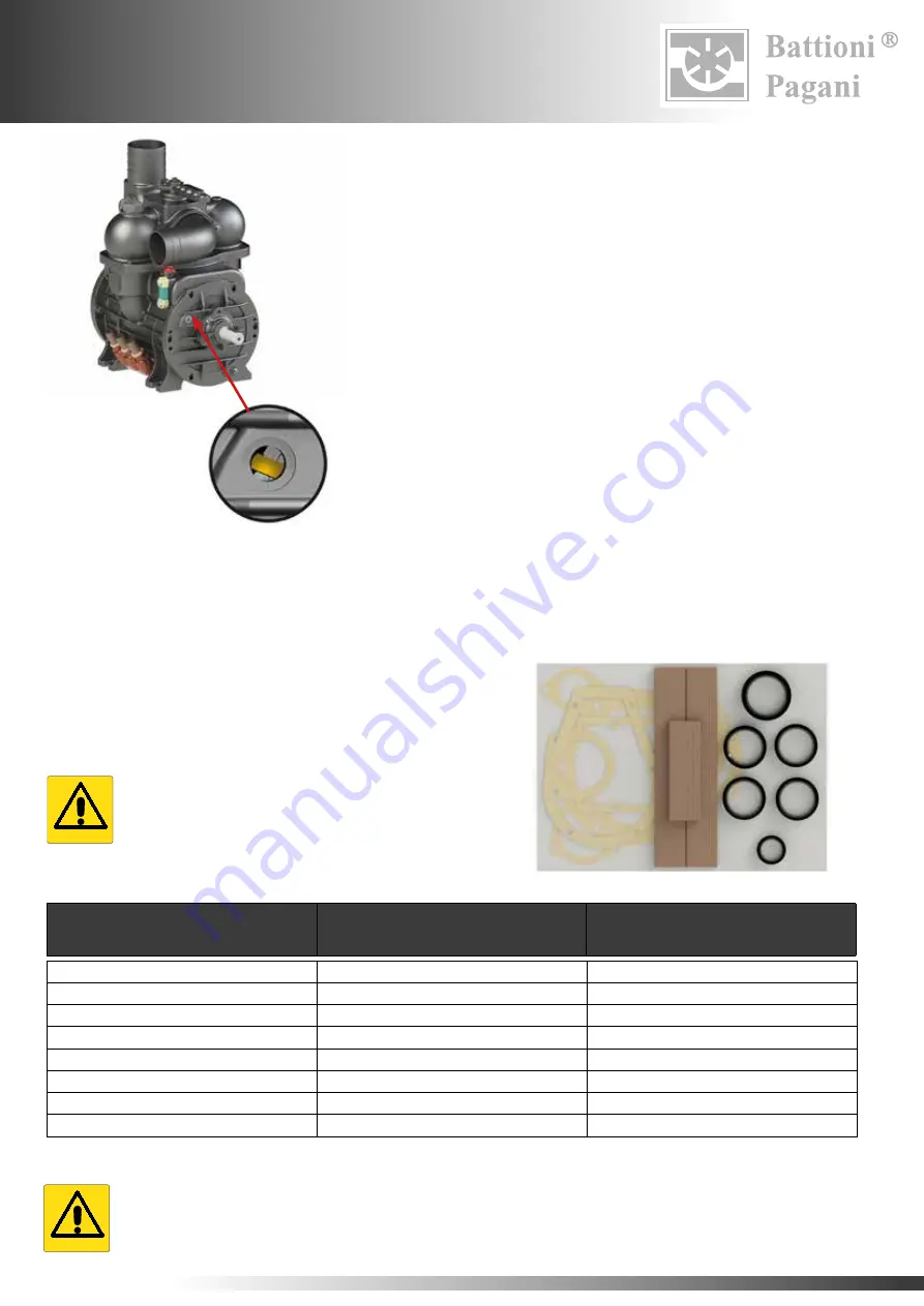 battioni Pagani BALLAST 11000 Скачать руководство пользователя страница 130