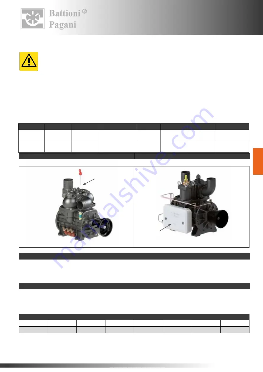 battioni Pagani BALLAST 11000 Instruction Manual For Use And Maintenance Download Page 149