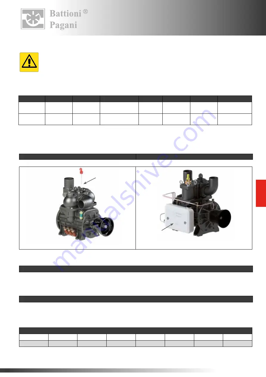 battioni Pagani BALLAST 11000 Instruction Manual For Use And Maintenance Download Page 177