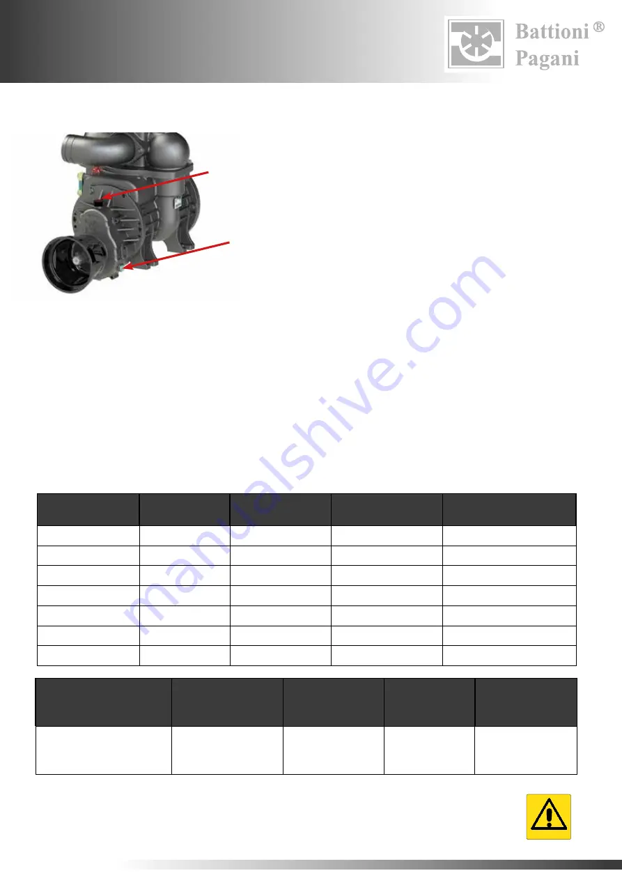 battioni Pagani BALLAST 11000 Instruction Manual For Use And Maintenance Download Page 290