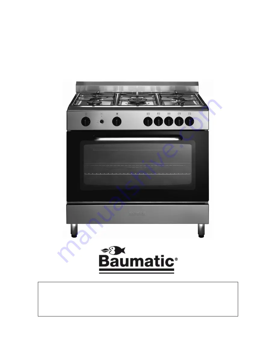 Baumatic BC190.2SS Скачать руководство пользователя страница 2