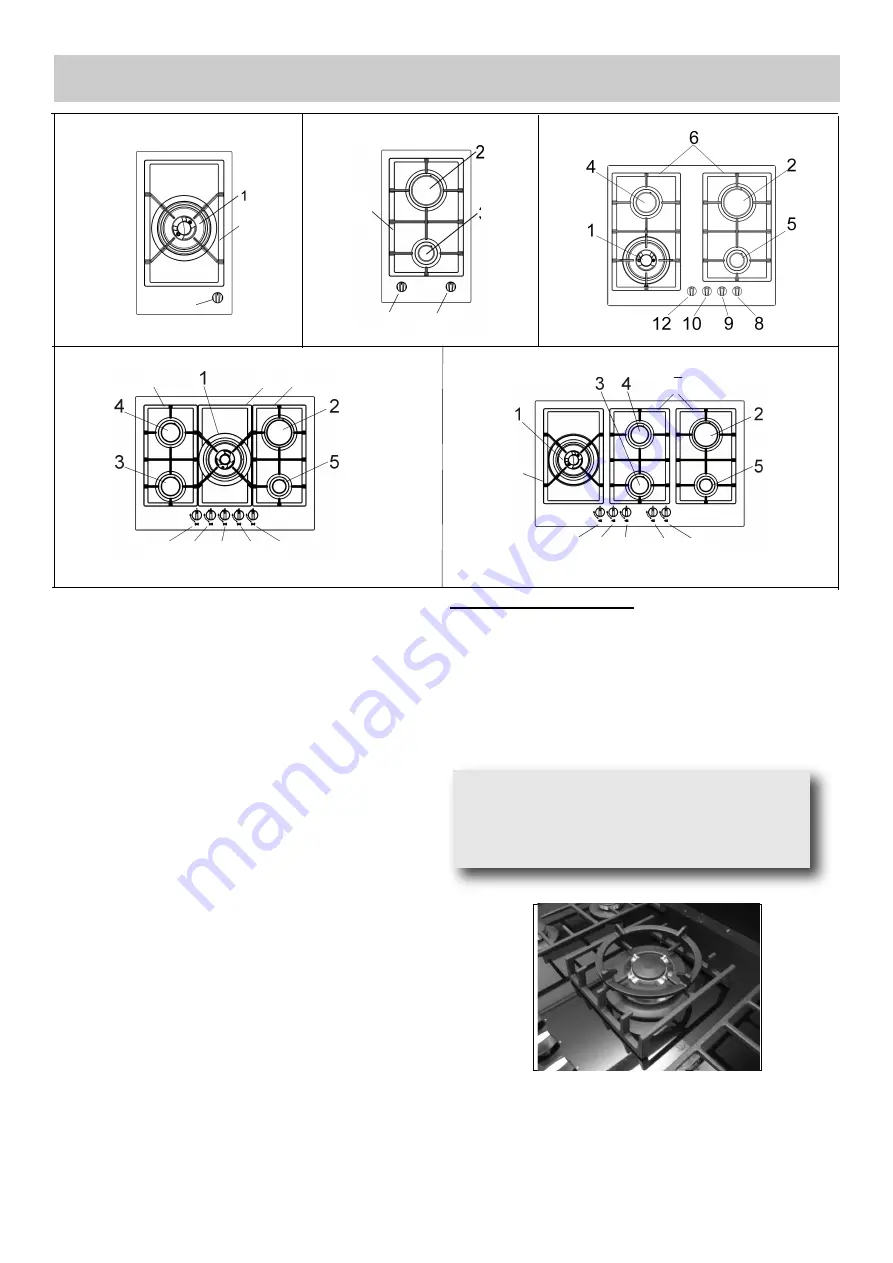 Baumatic BSGH30-ANZ Instruction And Installation Manual Download Page 2