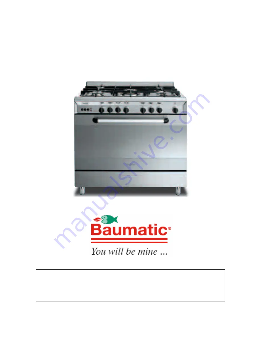 Baumatic BT2431SS User Manual Download Page 2