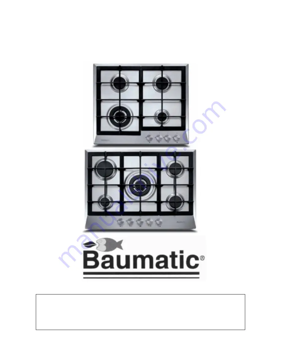 Baumatic P610SS User Manual Download Page 2