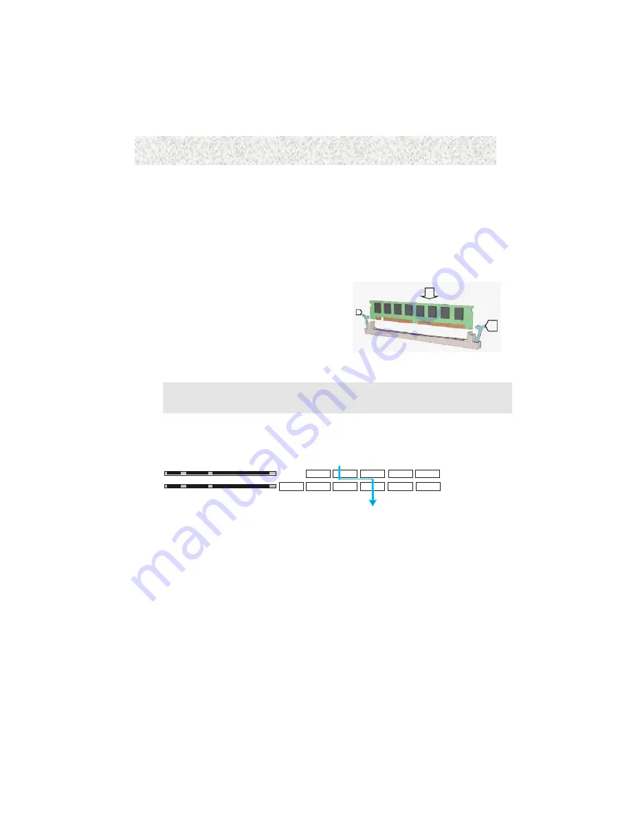 BCM Advanced Research FX815ELT Скачать руководство пользователя страница 14