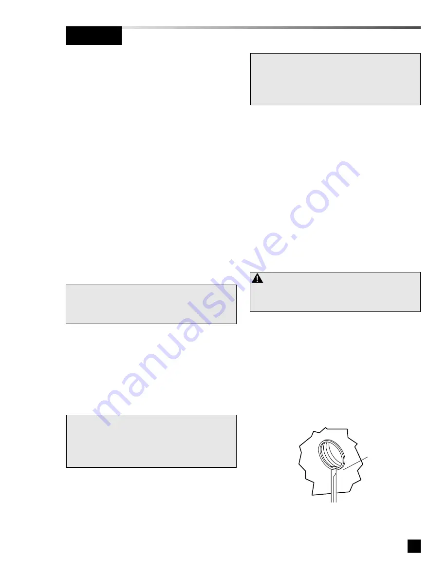 BeaconMedaes Gemini Diamond II Service Manual Download Page 7