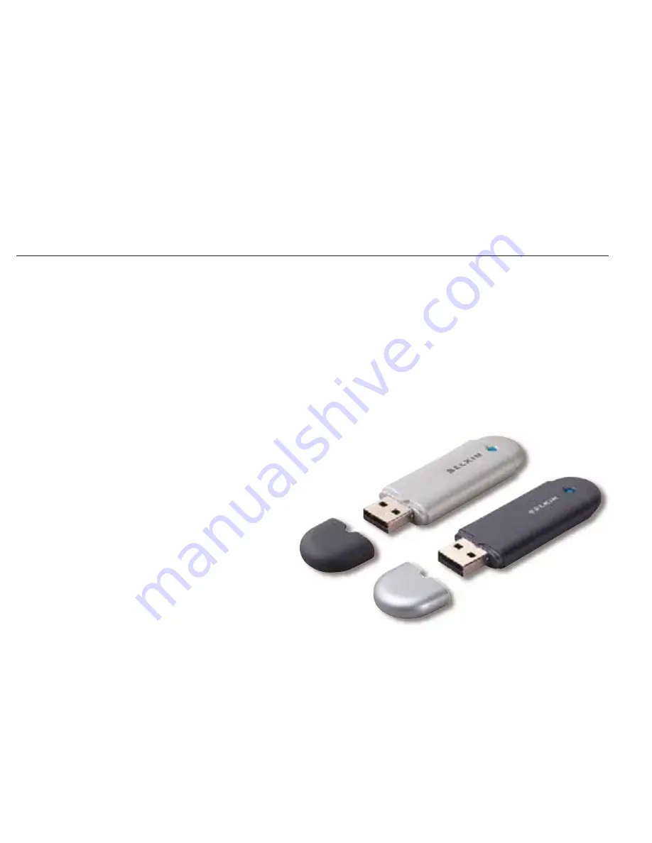 Belkin BLUETOOTH USB ADAPER Скачать руководство пользователя страница 116