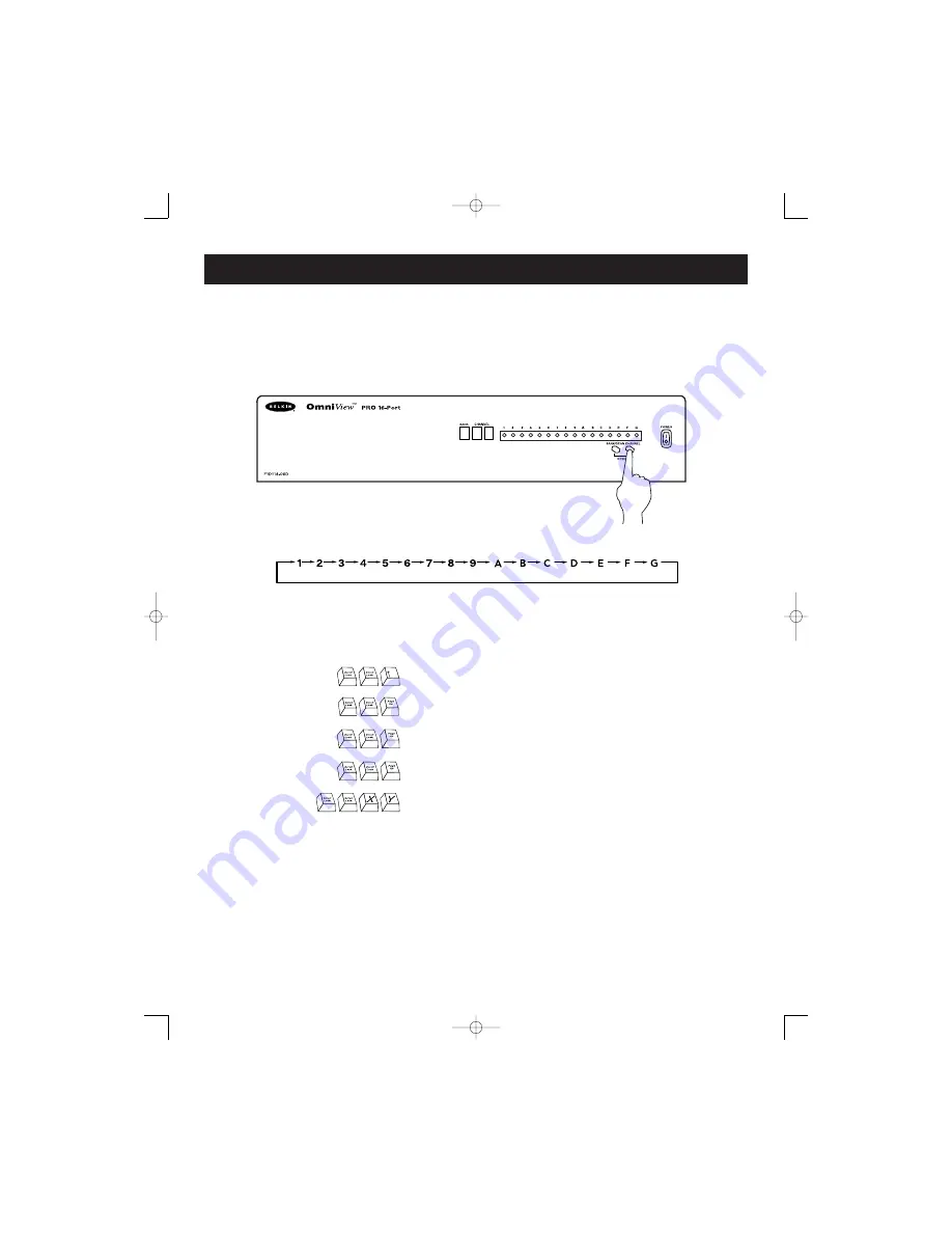 Belkin F1D116-OSD-1 Скачать руководство пользователя страница 33