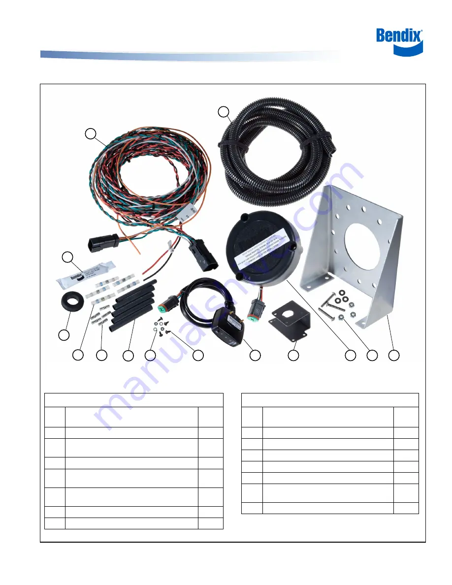 BENDIX BlindSpotter Скачать руководство пользователя страница 1