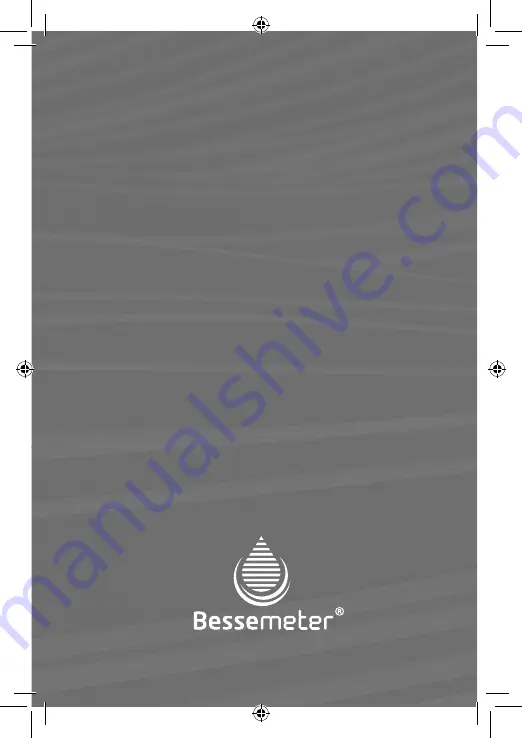 Bessemeter D300 Manual Download Page 2