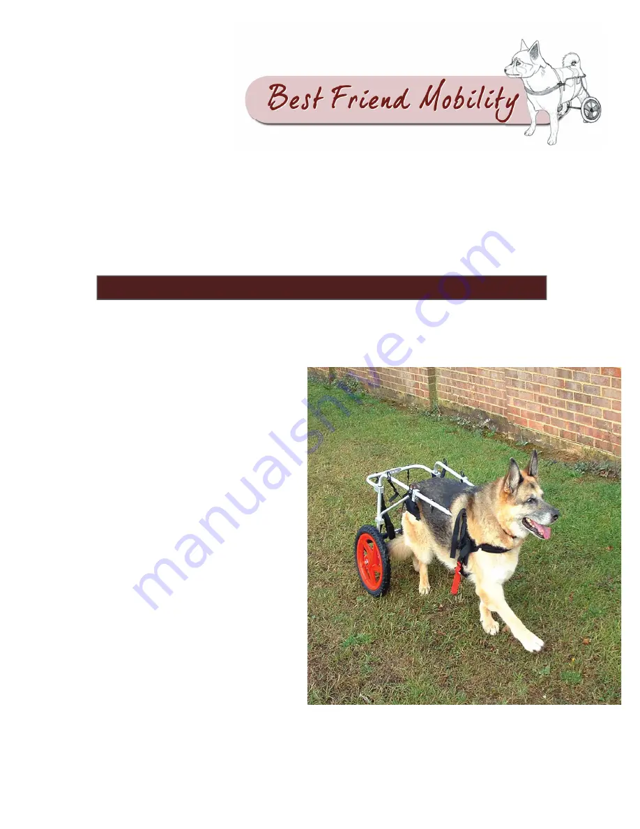 Best Friend Mobility extra large-size wheelchair Owner'S Manual Download Page 1