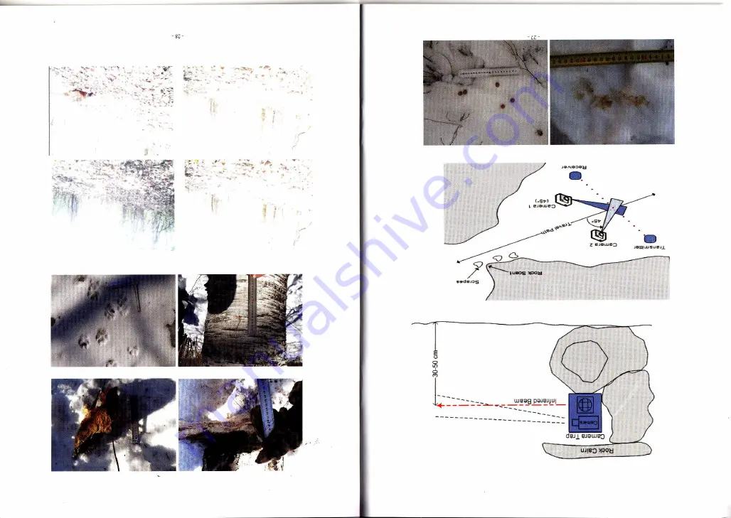 BestGuarder SG-990V User Manual Download Page 15